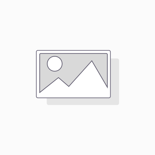 Mr. Ahmed